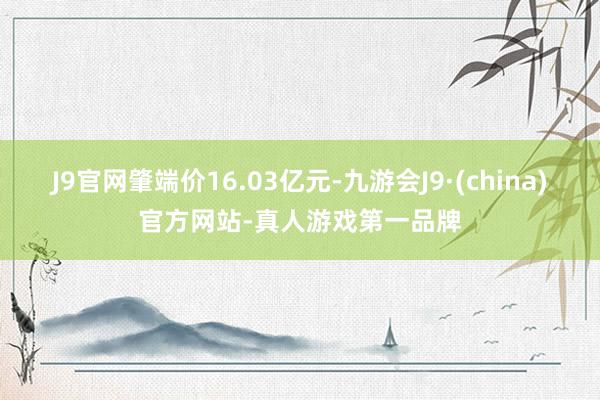 J9官网肇端价16.03亿元-九游会J9·(china)官方网站-真人游戏第一品牌