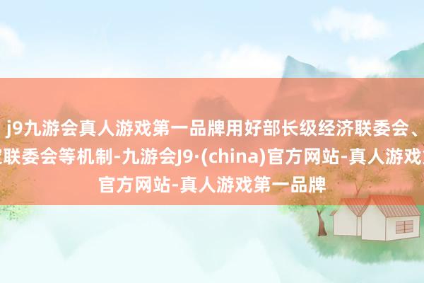 j9九游会真人游戏第一品牌用好部长级经济联委会、自贸协定联委会等机制-九游会J9·(china)官方网站-真人游戏第一品牌