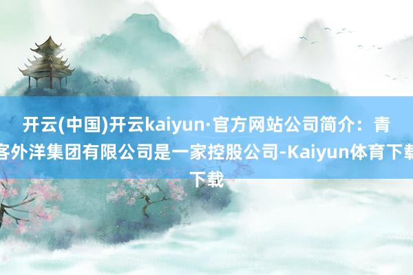 开云(中国)开云kaiyun·官方网站公司简介：青客外洋集团有限公司是一家控股公司-Kaiyun体育下载